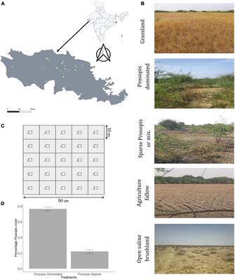 Differential Responses of Small Mammals to Woody Encroachment in a Semi-Arid Grassland